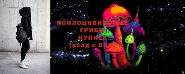 гашик Беломорск