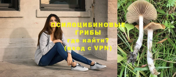 гидропоника Белокуриха